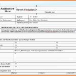 Einzigartig Durchfhrung Interner Audits Internes Audit Muster