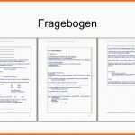 Einzigartig Fragebogen Vorlage Word – Vorlagens Download