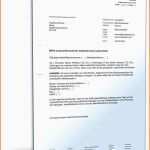 Einzigartig Sepa überweisung Vorlage Word Schön Sepa Lastschriftmandat