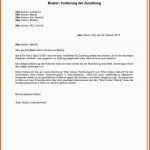 Einzigartig Techniker Krankenkasse Rechnung Einreichen Vorlage