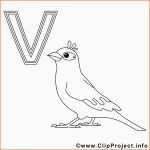 Einzigartig Vogel Ausmalbild Buchstaben Malen Vorlagen