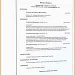Empfohlen 14 Lebenslauf In Englisch Vorlagen123 Vorlagen123