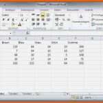 Empfohlen Excel Vorlage Tabelle Erstaunlich Excel Tabelle Vorlage