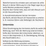 Empfohlen Putzplan Treppenhausreinigung Vorlage Reinigungsplan Küche