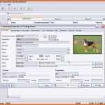Empfohlen Stammbaum Vorlage Excel