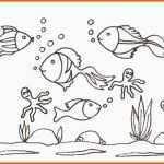 Empfohlen Vorlage Fisch Kommunion Inspiration Genial Kommunionkarten