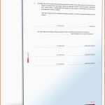 Empfohlen Vorlage Testament Handschriftlich – Vorlagens Download