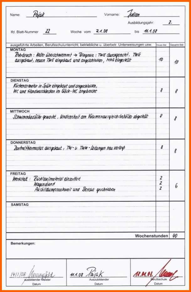 Erschwinglich 12 Monatsbericht Vorlage