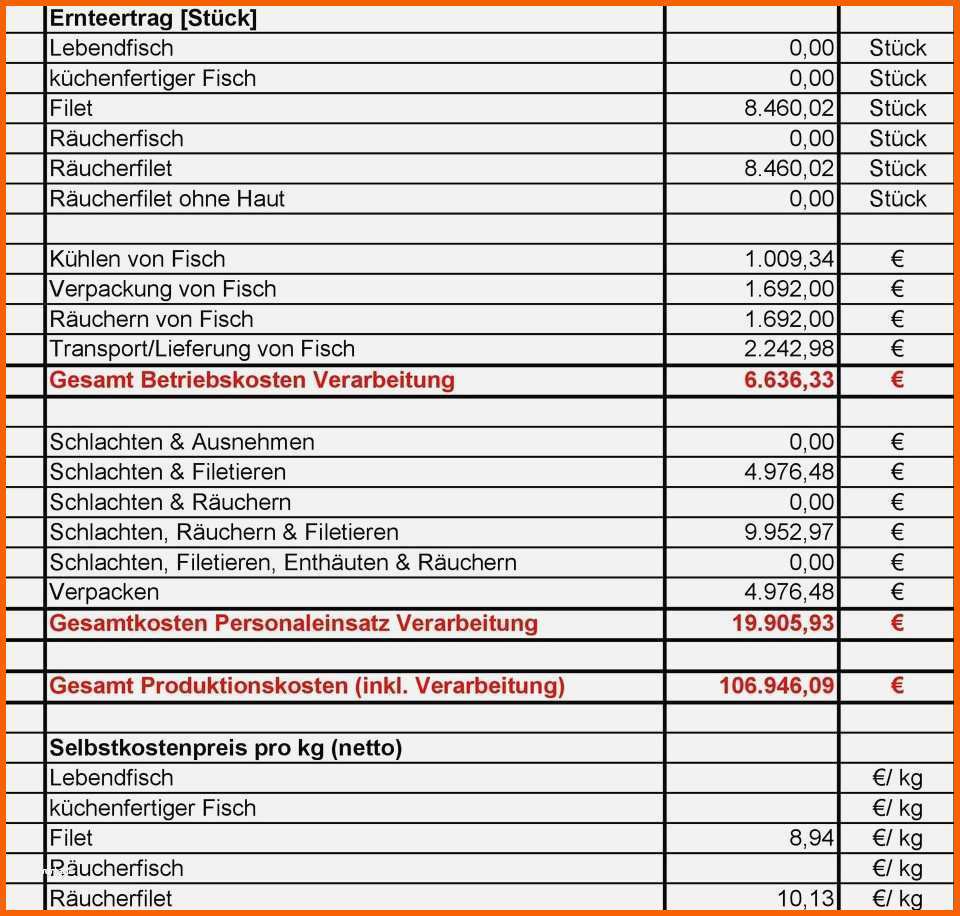 Erschwinglich 13 Kosten Nutzen Analyse Vorlage