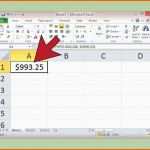 Erschwinglich 13 Stammbaum Excel Vorlage