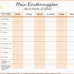 Erschwinglich 15 Speiseplan Vorlage Kinder