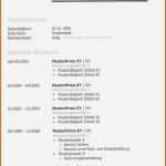 Erschwinglich 16 Biographie Muster Kostenlos