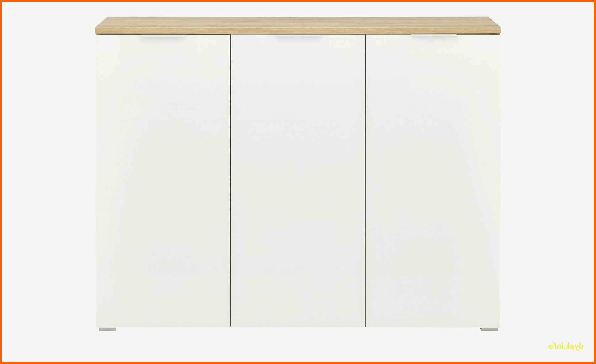 Erschwinglich 42 Luxus Schrank Metall Schuhschrank Mit Glasfront — Haus