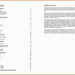 Erschwinglich 6 Businessplan Vorlage Kostenlos Pdf 0niacf