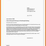 Erschwinglich 9 3 Mahnung Muster