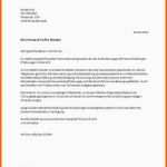Erschwinglich 9 Bewerbung Richtig Schreiben Muster
