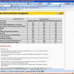 Erschwinglich Analysetool Stärken Schwächen