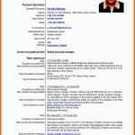 Erschwinglich Europass Cv English Nikolaos Pavlidis