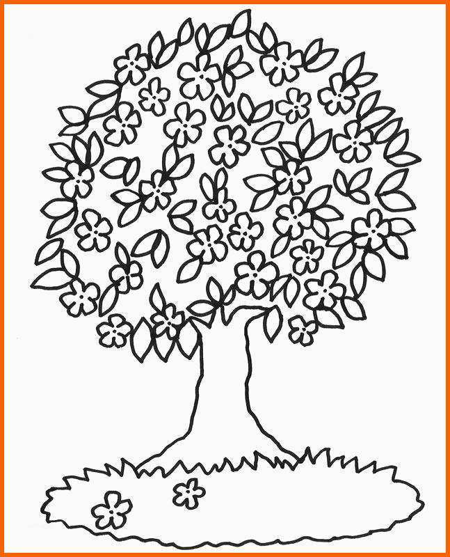 Erschwinglich Kostenlose Malvorlage Bäume Blühender Baum Zum Ausmalen