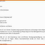 Erschwinglich Kündigung Versicherung Vorlage Download Chip