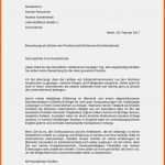 Erschwinglich Lebenslauf Vorlage Praktikum Schüler Einzigartig Vorlage