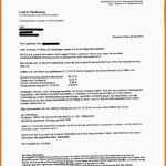 Erschwinglich Letzte Mahnung Vorlage Kostenlos 9 Letzte Mahnung Ark Mipa