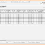 Erschwinglich Medikamentenplan Vorlage Excel Genial Groß Stationäre