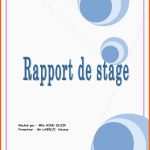 Erschwinglich Modele Rapport De Stage Cap Petite Enfance Vends Cours Cap