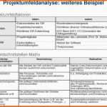 Erschwinglich Projektdokumentation Vorlage Word Erstaunliche Gemütlich