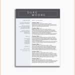 Erschwinglich Register ordner Vorlage Kostenlos Leitz Register 1 10
