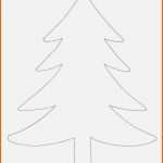 Erschwinglich Tannenbaum Basteln Papier Vorlage Zum Ausdrucken