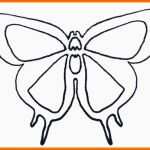Erschwinglich Unglaubliche Schmetterling Vorlage