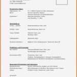 Erstaunlich 11 Lebenslauf Bewerbung Praktikum Vorlage