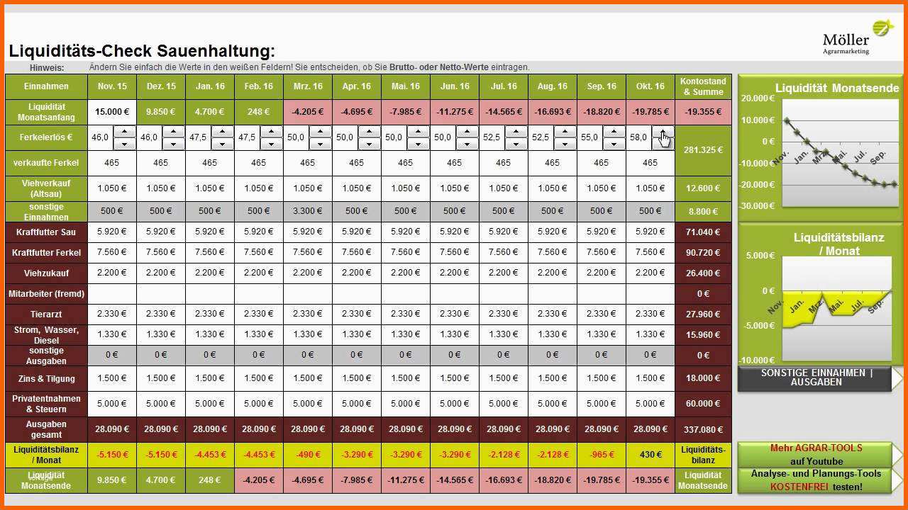 Erstaunlich 18 Einnahmen Ausgaben Rechnung Excel Vorlage Kostenlos
