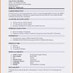 Erstaunlich 26 Best Cv Vorlage Englisch Bilder