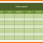 Erstaunlich 7 Ernährungsplan Vorlage