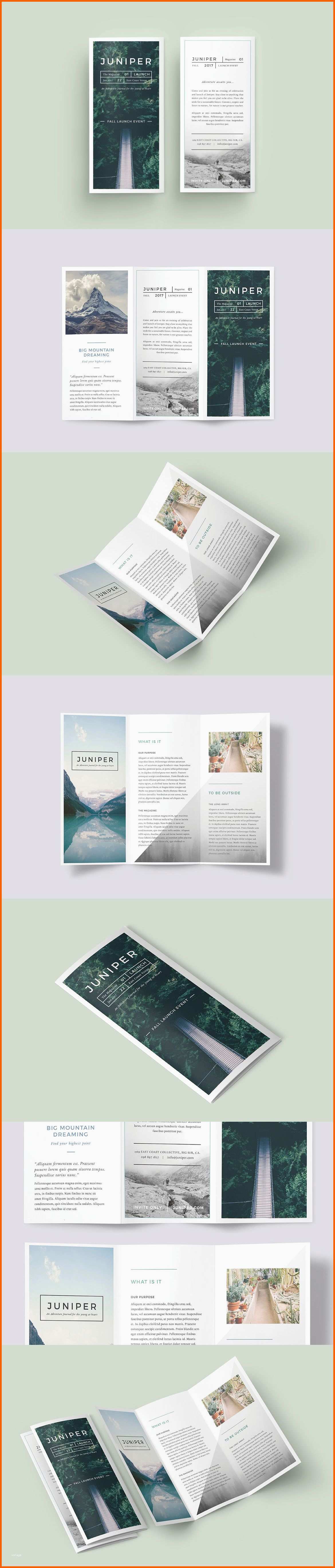 Erstaunlich A Beautiful Multipurpose Tri Fold Dl Brochure Template