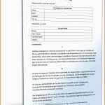 Erstaunlich Au Pair Vertrag Muster Vorlage Zum Download