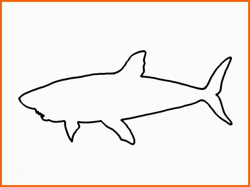 Erstaunlich Bildmaterial 4 Die Kigo Tipps Kindergottes Nst 1 Erstaunlich Bildmaterial 4 Die Kigo Tipps Kindergottes Nst