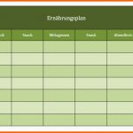 Erstaunlich Ernährungsplan Als Excel Vorlagen