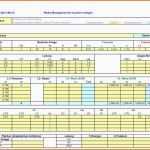 Erstaunlich Excel Vorlage Risikoanalyse Projektmanagement Freeware