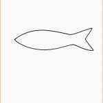 Erstaunlich Fische An Der Wand