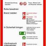 Erstaunlich Leistungsprofil