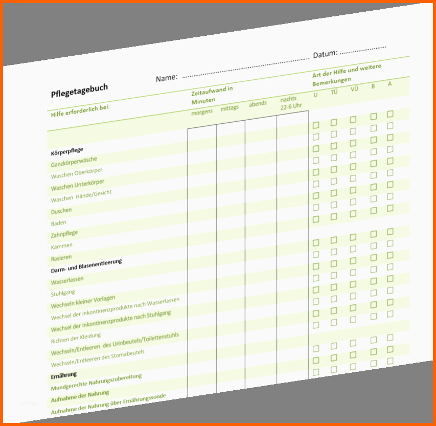 Erstaunlich Pflegeratgeber Pfle Agebuch Führen Mit Vorlage