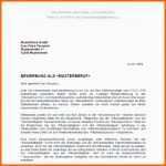 Erstaunlich Testament Nichteheliche Lebensgemeinschaft Muster