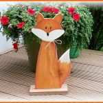 Exklusiv 37 Besten Vogelvillen Und Mehr Bilder Auf Pinterest