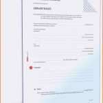 Exklusiv 7 Buchvorstellung Grundschule Arbeitsblatt
