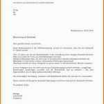 Exklusiv Berichtsheft Vorlage Pdf Lebenslauf Sprachkenntnisse Schön