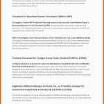 Exklusiv Businessplan Vorlage Word Das Beste Von Businessplan