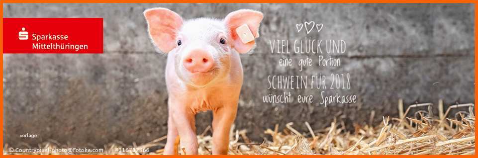 Exklusiv Die Spendenbestätigung – Ein Kleiner Wegweiser Für Vereine